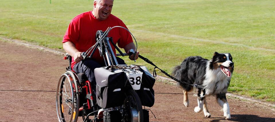 Hundesport mit Handicap
