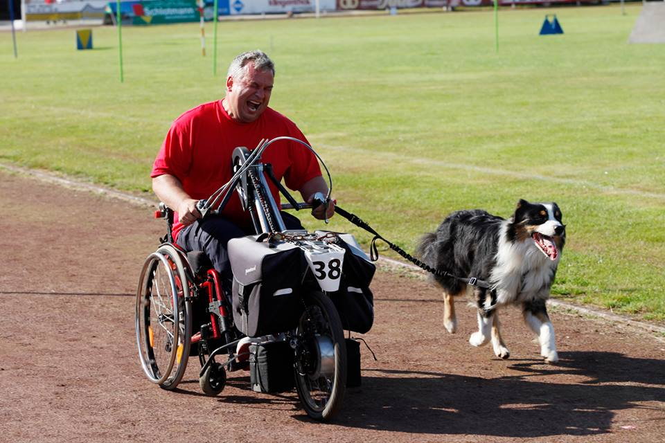 Hundesport mit Handicap