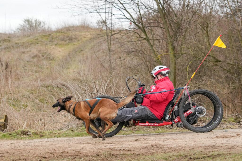 Merri ihre erste Canicross BSP in Euskirchen