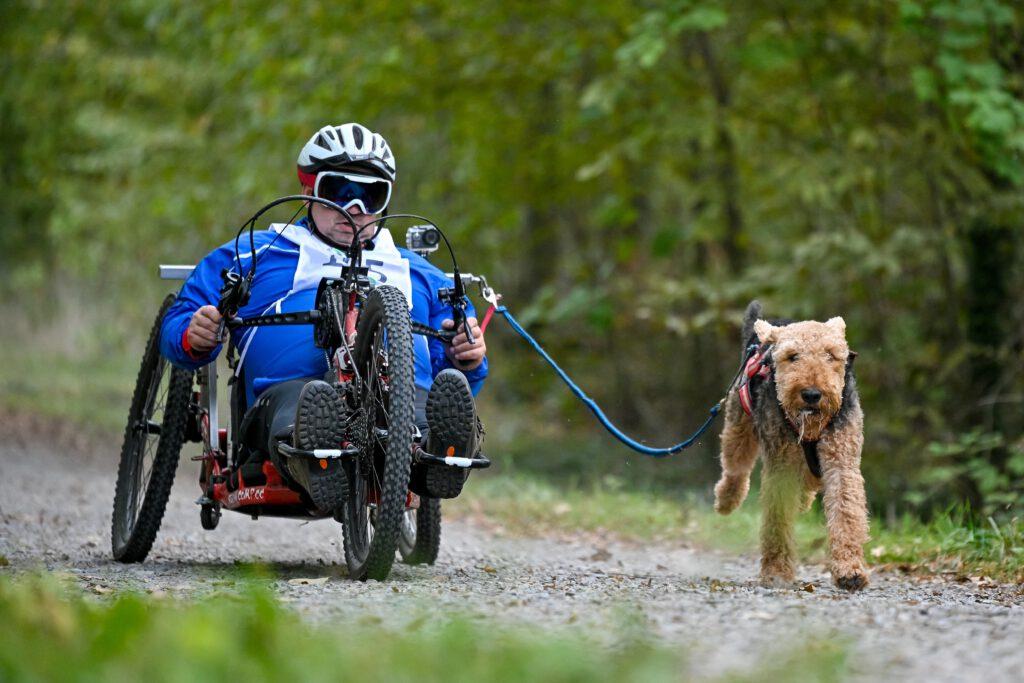 THS (Turnierhundesport) Deutsche Meisterschaft 2023 in Hockenheim