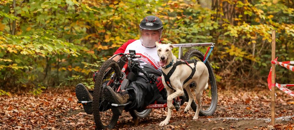 3. Visbecker Schlittenhunderennen Internationale Deutsche Meisterschaft Dryland 2024/2025 & Altersklassenmeisterschaft 2024/2025