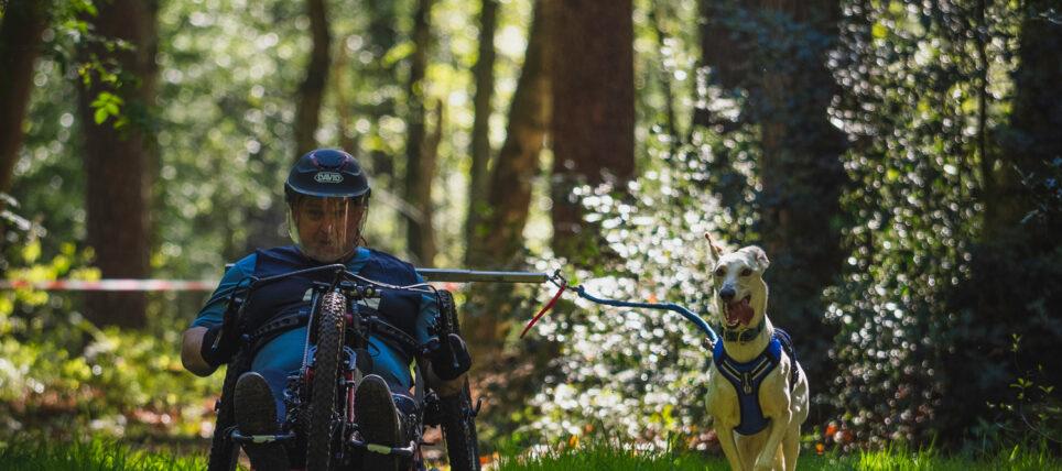 Saisonschluss 2024/2025 bei Gesund mit Hund im Tierpark Ströhen